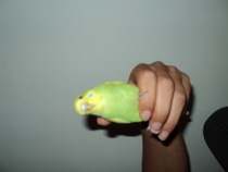 DSC00294