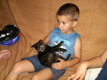 pisi 015