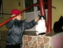 noiembrie 2 001
