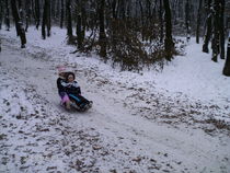 cu sania...:))