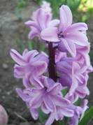DSCN0938