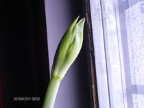 aprilie 037