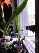 aprilie 015