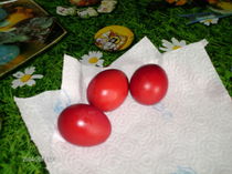 aprilie 042