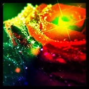 myflower