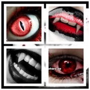 the vampire