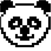Panda; Popescu Dragos, Categoria 11-15 ani, C.N. Andrei Muresanu Dej
