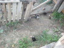 DSCF5697