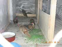 DSCN1957