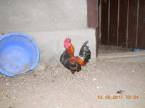 DSCN2660