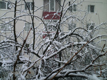 ianuarie- 023