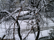 ianuarie- 024