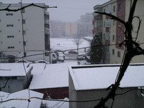 ianuarie- 027