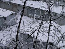 ianuarie- 028