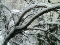 ianuarie- 031