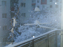 ianuarie- 032