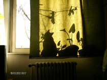 martie_ 013
