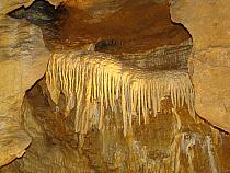 DSC05458