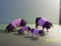 porci baltati