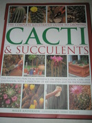 aceeasi