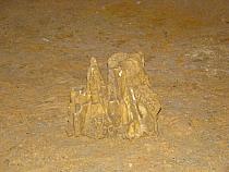 DSC05451
