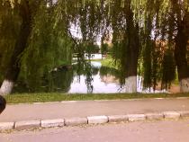DSC05581