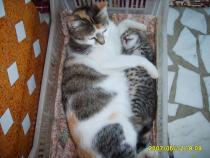S5005764