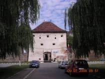 DSCN7784
