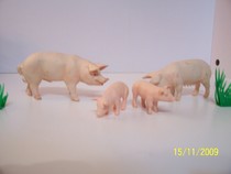 Porci