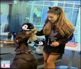 Ariana Meets Angus’s Dog, Buckets - 2O14