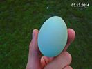 primul ou