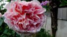 Abraham Darby