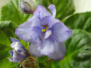 Blue-eyed Russia (EK-Goluboglazaia Rossiia)