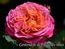 Centenaire de l'Hay-les-Roses