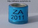 za 2011