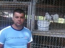 hodismihai