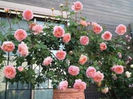 Abraham Darby (tufa) 60