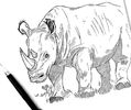 Day 21: RHINOCEROS