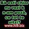 ba%20esti%20chior%20nu%20vezi%20ca%20n-am%20poze%20ce%20tot%20te%20uiti