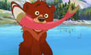 brotherbear2