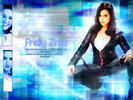 preity_wallpaper2