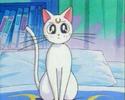 Sailor_Moon_1254788863_2_1995