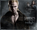 Copy (4) of twilight05