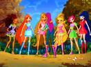 Winx + Roxy