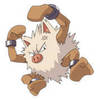 primeape