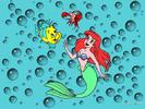 The_Little_Mermaid_1249191759_2_1989