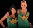 normal_laycool