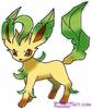 Leafeon(ThePokemonMaster)