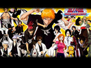 bleach10