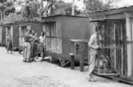 Australian pigeon lofts WW2 new guinea